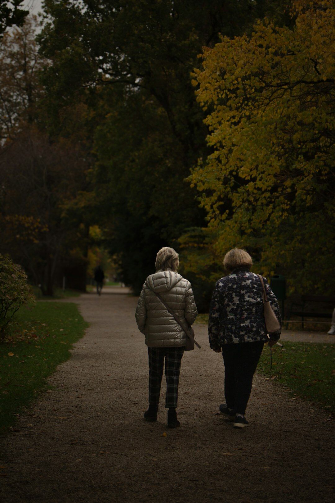 elderly couple walking in park