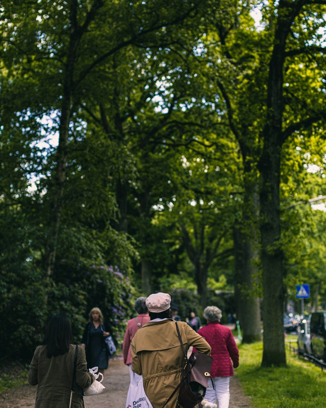 senior walking in park