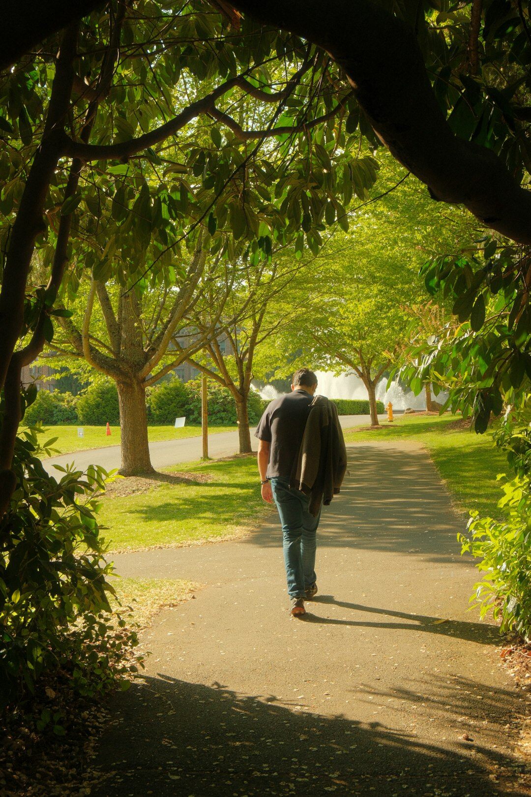 senior walking in park