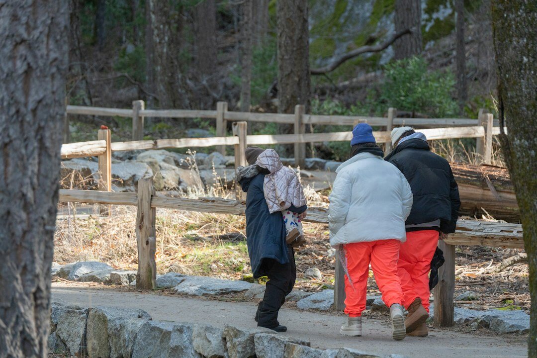 senior people walking in park