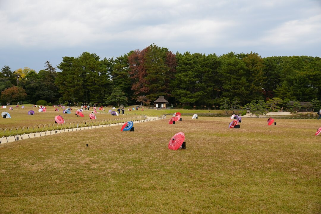 Elderly Japanese people doing gentle group stretching exercises in a park